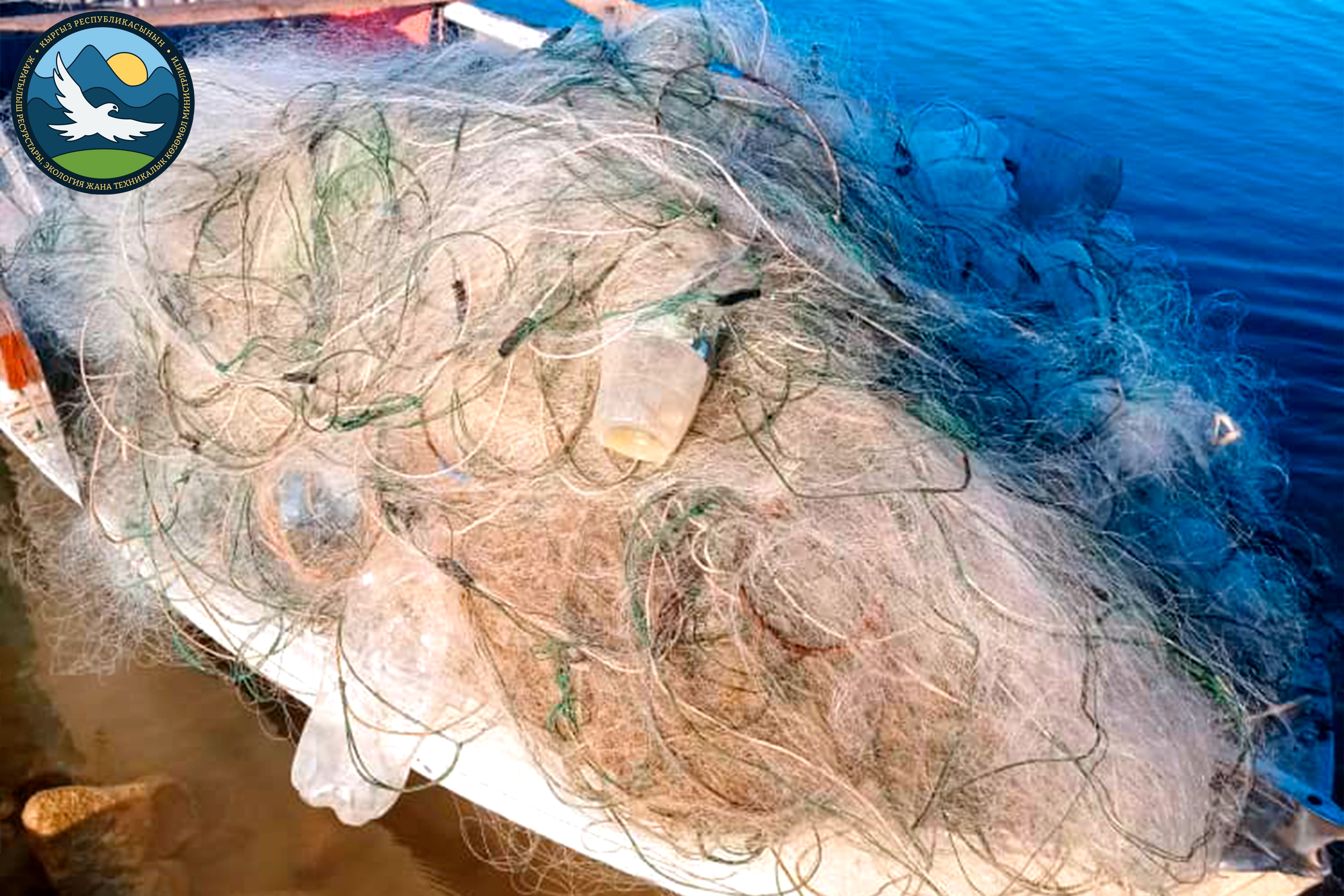 Регионалдык башкармалыктардын ишмердиги