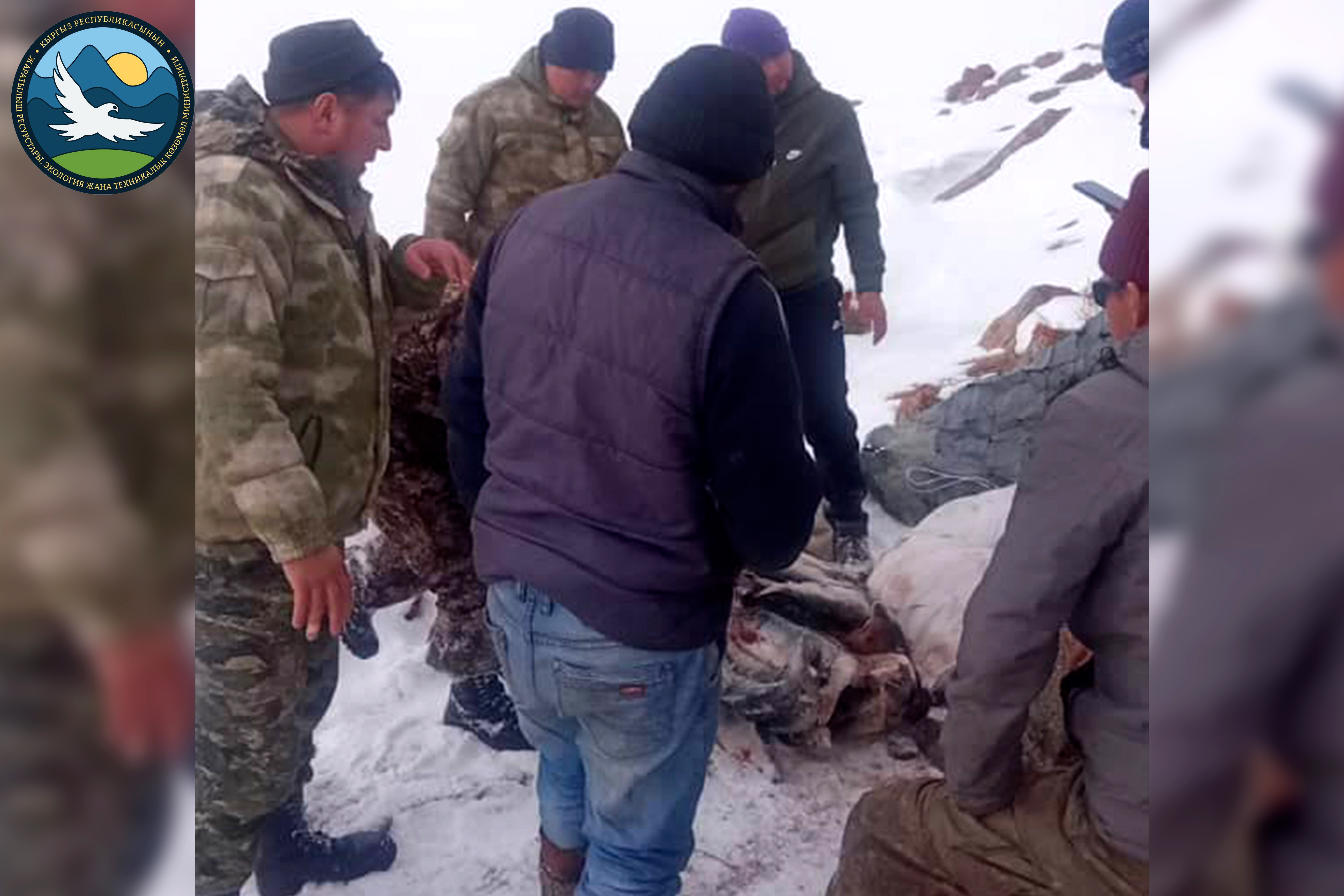 Экологиялык жана техникалык көзөмөл кызматынын ишмердиги