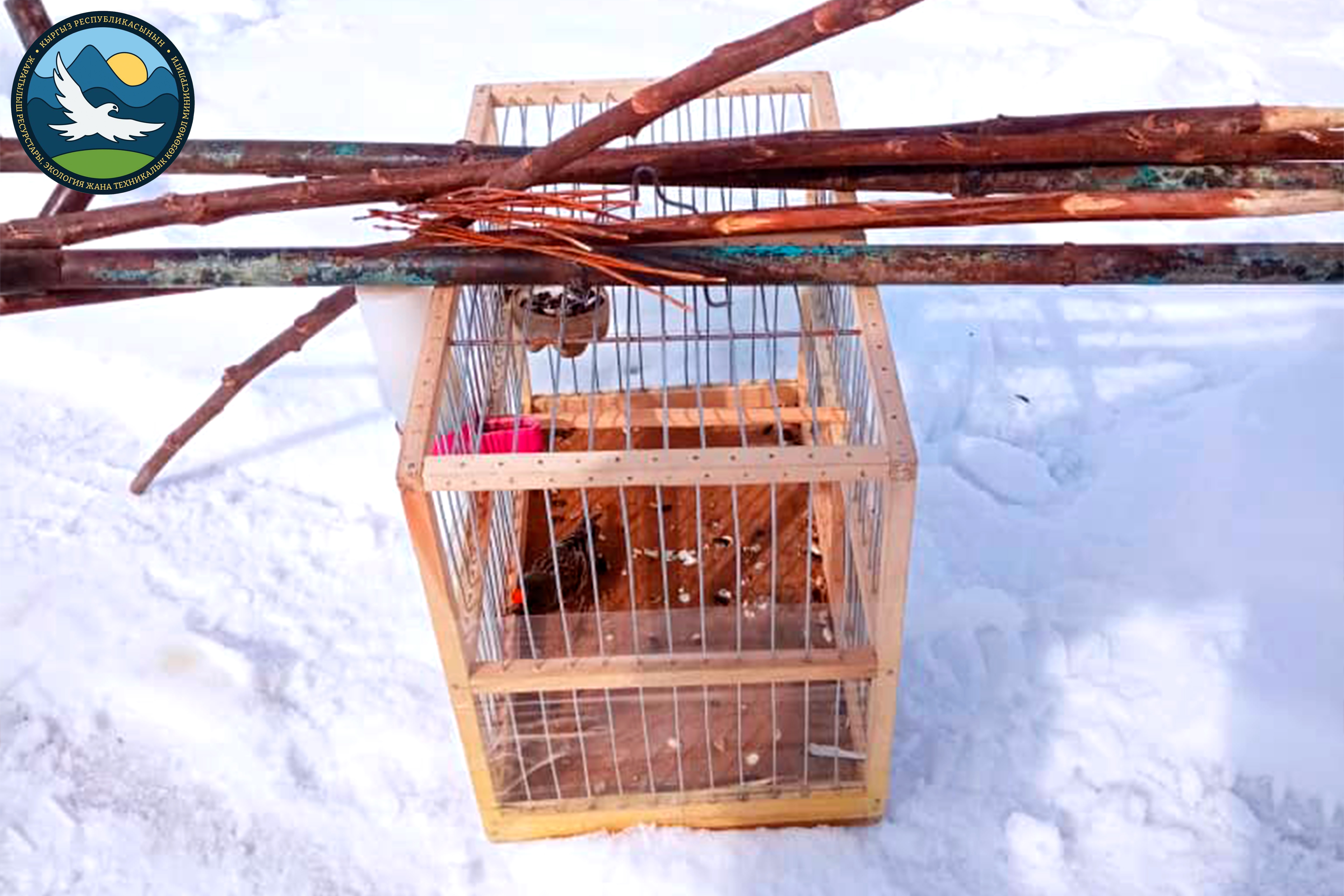 Регионалдык башкармалыктардын ишмердиги